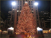 Christmas Tree at Rockefeller Centre